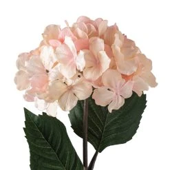 Promo ⭐ 12 Pack: Peach Pink Hydrangea Stem by Ashland® 💯 -Ashland Shop MP461651 20