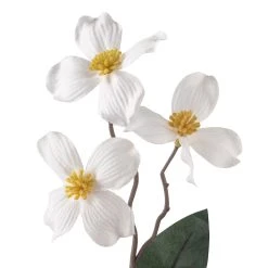 Coupon 🎉 12 Pack: White Mini Dogwood Stem by Ashland® 👍 -Ashland Shop MP461654 20