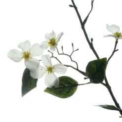 Coupon 🎉 12 Pack: White Mini Dogwood Stem by Ashland® 👍 -Ashland Shop MP461654 5
