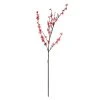Discount ❤️ 12 Pack: Pink Peach Blossom Stem by Ashland® ⭐ -Ashland Shop MP468899 1