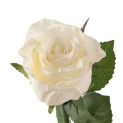 Best reviews of ✔️ 12 Pack: White Faux Rose by Ashland® ✨ -Ashland Shop MP501466 20