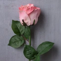 Best reviews of 🔔 12 Pack: Light Pink Faux Rose by Ashland® 🧨 -Ashland Shop MP501467 22