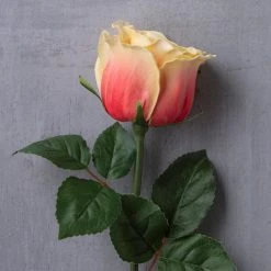 Cheapest 😍 12 Pack: Coral Faux Rose by Ashland® 🛒 -Ashland Shop MP501469 22