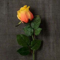 Wholesale 🎁 12 Pack: Peach Faux Rose by Ashland® 😍 -Ashland Shop MP501471 25