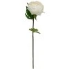 Best reviews of ✔️ 12 Pack: White King Peony Stem by Ashland® 👏 1 Best reviews of ✔️ 12 Pack: White King Peony Stem by Ashland® 👏 -Ashland Shop MP501479 1