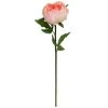 Wholesale 🔥 12 Pack: Pink King Peony Stem by Ashland® ✔️ -Ashland Shop MP501481 1