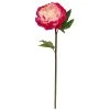 Best reviews of ⭐ 12 Pack: Fuchsia King Peony Stem by Ashland® 🤩 1 Best reviews of ⭐ 12 Pack: Fuchsia King Peony Stem by Ashland® 🤩 -Ashland Shop MP501483 1