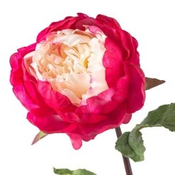 Best reviews of ⭐ 12 Pack: Fuchsia King Peony Stem by Ashland® 🤩 -Ashland Shop MP501483 20