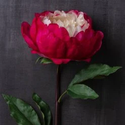 Best reviews of ⭐ 12 Pack: Fuchsia King Peony Stem by Ashland® 🤩 -Ashland Shop MP501483 22