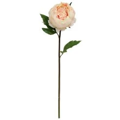 Cheap ⭐ 12 Pack: Peach King Peony Stem by Ashland® ❤️