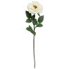 Cheapest ❤️ 12 Pack: White Orlane Rose Stem by Ashland® ⭐ 1 Cheapest ❤️ 12 Pack: White Orlane Rose Stem by Ashland® ⭐ -Ashland Shop MP501485 1