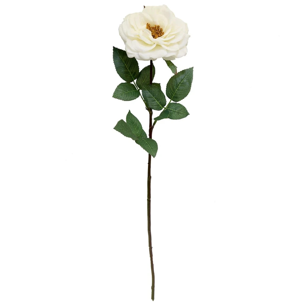 Cheapest ❤️ 12 Pack: White Orlane Rose Stem by Ashland® ⭐ 3 Cheapest ❤️ 12 Pack: White Orlane Rose Stem by Ashland® ⭐