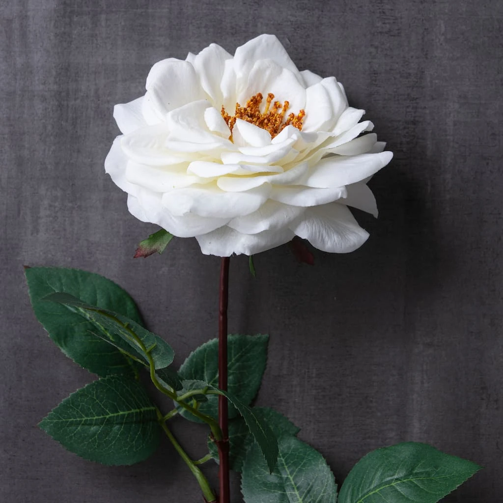 Cheapest ❤️ 12 Pack: White Orlane Rose Stem by Ashland® ⭐ 6 Cheapest ❤️ 12 Pack: White Orlane Rose Stem by Ashland® ⭐ - Image 4