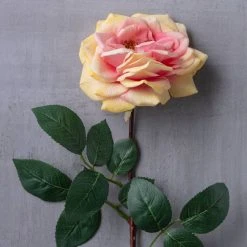 Flash Sale ⭐ 12 Pack: Coral Orlane Rose Stem by Ashland® ❤️ -Ashland Shop MP501486 22