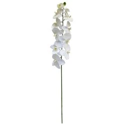 Budget ❤️ 8 Pack: White Orchid Stem by Ashland® ✔️