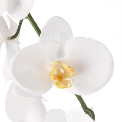 Budget ❤️ 8 Pack: White Orchid Stem by Ashland® ✔️ -Ashland Shop MP501488 20