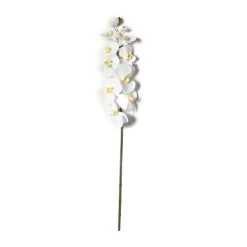 Budget ❤️ 8 Pack: White Orchid Stem by Ashland® ✔️ -Ashland Shop MP501488 21