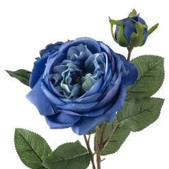 Budget 🎁 12 Pack: Blue English Rose Stem by Ashland® 🔥 -Ashland Shop MP501503 20