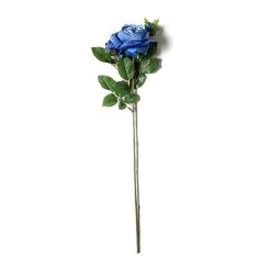 Budget 🎁 12 Pack: Blue English Rose Stem by Ashland® 🔥 -Ashland Shop MP501503 21
