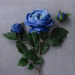 Budget 🎁 12 Pack: Blue English Rose Stem by Ashland® 🔥 -Ashland Shop MP501503 22