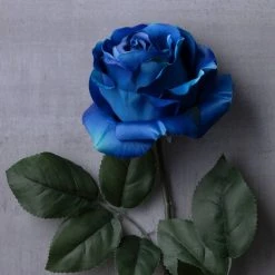 Promo 🤩 12 Pack: Royal Blue Rose Stem by Ashland® ❤️ -Ashland Shop MP501505 22