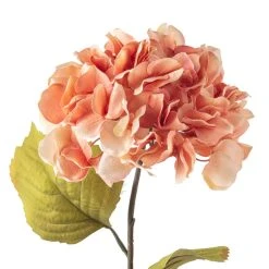 Outlet ⌛ 12 Pack: Coral Two-Toned Hydrangea Steam by Ashland® 😍 -Ashland Shop MP501508 20