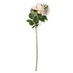 Outlet 🥰 12 Pack: Toast English Rose Stem by Ashland® 👍 -Ashland Shop MP501510 21