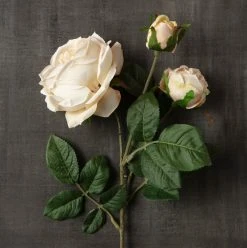 Outlet 🥰 12 Pack: Toast English Rose Stem by Ashland® 👍 -Ashland Shop MP501510 25