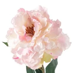 Promo 🔥 12 Pack: Light Pink Peony Stem by Ashland® 😀 -Ashland Shop MP501951 20