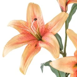 Best reviews of 🎁 12 Pack: Flame Casablanca Lily Stem by Ashland® 🎁 -Ashland Shop MP501957 20