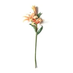 Best reviews of 🎁 12 Pack: Flame Casablanca Lily Stem by Ashland® 🎁 -Ashland Shop MP501957 21