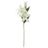 Best Pirce 🧨 12 Pack: White Casablanca Lily Stem by Ashland® ✨