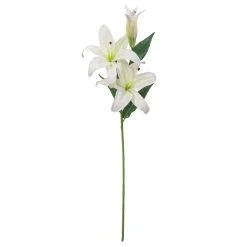 Best Pirce 🧨 12 Pack: White Casablanca Lily Stem by Ashland® ✨