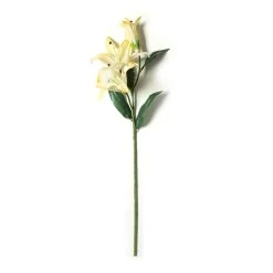 Best Pirce 🧨 12 Pack: White Casablanca Lily Stem by Ashland® ✨ -Ashland Shop MP501958 21
