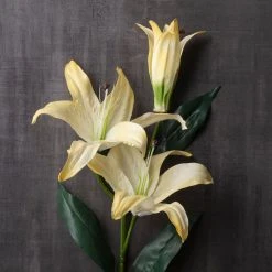 Best Pirce 🧨 12 Pack: White Casablanca Lily Stem by Ashland® ✨ -Ashland Shop MP501958 22