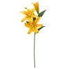 Cheap 🧨 12 Pack: Yellow Casablanca Lily Stem by Ashland® ⭐ -Ashland Shop MP501959 1