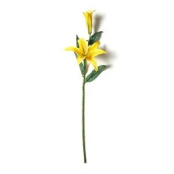 Cheap 🧨 12 Pack: Yellow Casablanca Lily Stem by Ashland® ⭐ -Ashland Shop MP501959 21