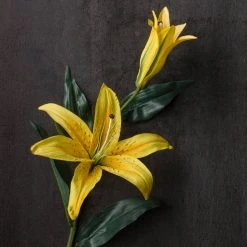 Cheap 🧨 12 Pack: Yellow Casablanca Lily Stem by Ashland® ⭐ -Ashland Shop MP501959 22