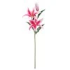 Budget 🤩 12 Pack: Hot Pink Casablanca Lily Stem by Ashland® 🥰 2 Budget 🤩 12 Pack: Hot Pink Casablanca Lily Stem by Ashland® 🥰 -Ashland Shop MP501960 1