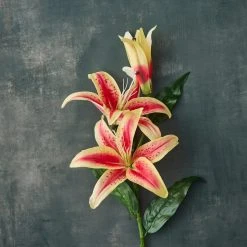 Budget 🤩 12 Pack: Hot Pink Casablanca Lily Stem by Ashland® 🥰 -Ashland Shop MP501960 20