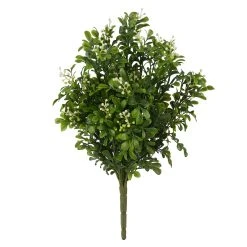 Buy 🥰 9 Pack: Boxwood & Berry Bush by Ashland® ⭐