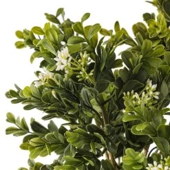 Buy 🥰 9 Pack: Boxwood & Berry Bush by Ashland® ⭐ -Ashland Shop MP546917 20