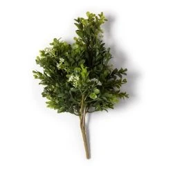 Buy 🥰 9 Pack: Boxwood & Berry Bush by Ashland® ⭐ -Ashland Shop MP546917 21