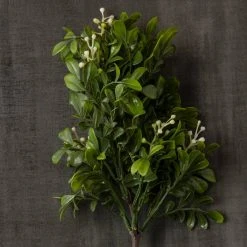 Coupon 😍 24 Pack: Green Boxwood Pick by Ashland® ✔️ -Ashland Shop MP546920 25