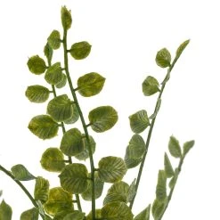 Cheap ✔️ 18 Pack: Assorted Fern Pick by Ashland® ✔️ -Ashland Shop MP546923 20