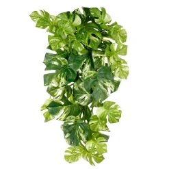 Best deal ❤️ 12 Pack: Split Hanging Philo Bush by Ashland® 🎉