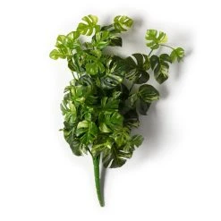 Best deal ❤️ 12 Pack: Split Hanging Philo Bush by Ashland® 🎉 -Ashland Shop MP547223 21