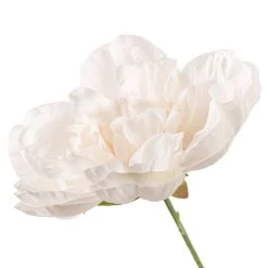 Cheapest 😀 12 Pack: Cream Peony Bush by Ashland® ✔️ -Ashland Shop MP547348 20