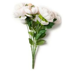 Cheapest 😀 12 Pack: Cream Peony Bush by Ashland® ✔️ -Ashland Shop MP547348 21