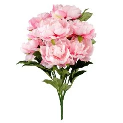 Best deal 🎁 12 Pack: Pink Peony Bush by Ashland® ❤️